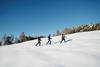 Winter and snowshoe hiking